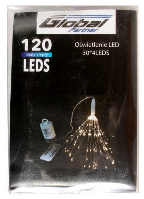 Oświetlenie LED 30*40LEDS BNO-46-00355/6-21