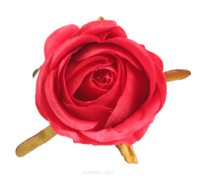 Róża kapuściana wyrobowa BXT910 7x7cm