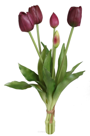 Tulipan gumowy wiązka x5 CV13555 40cm