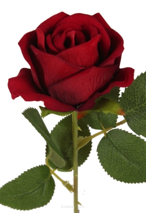 Róża welur pojedyncza na łodydze P15-1902 50cm