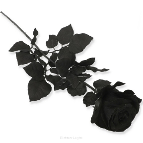 Róża pojedyncza VELVET PS013748V 83cm