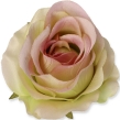oliwkowy z różowym środkiem GR462