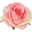 różowy z seledynowym płatkiem PI411