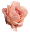 brudny róż cieniowany XYPU424