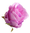 różowo-fioletowy #XYLA482