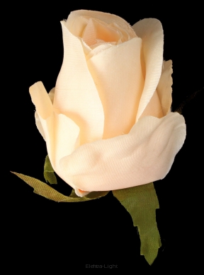 Róża wyrobowa pąk G310 