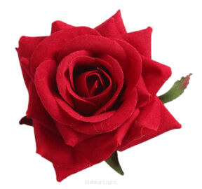 Róża wyrobowa welur CV23968