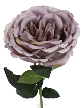 Róża na łodydze K7L0071/2/3/6 54cm